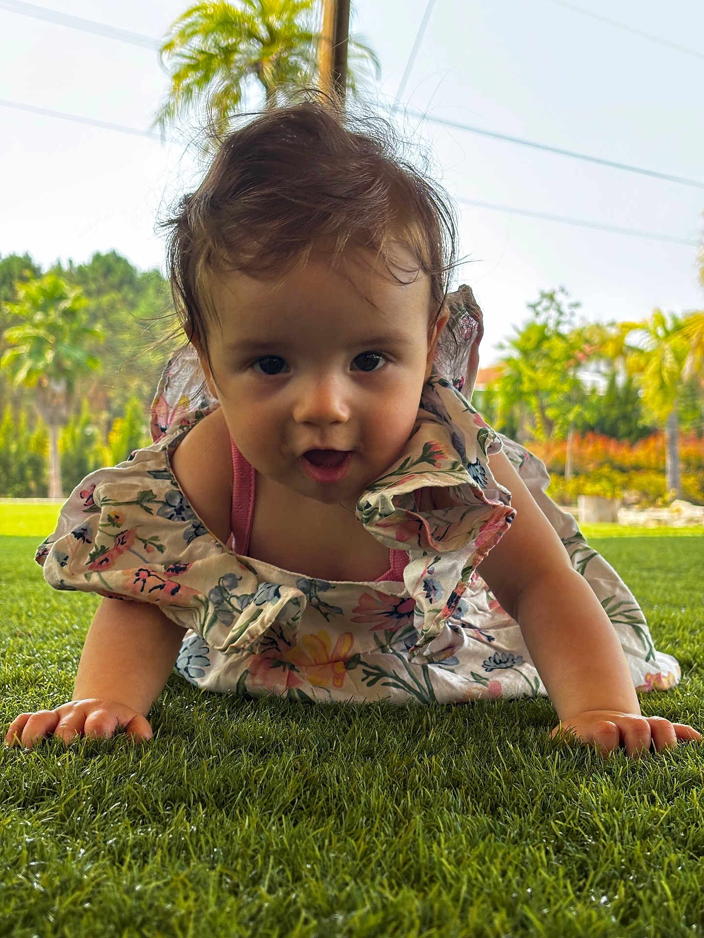 Sofia a rejoint le concours — aidez-le/la à gagner de superbes lots ! toddler, child, grass, outdoor, floral_dress, crawling, greenery, palm_trees, sunny, nature, portrait, baby, hands, face, cute, summer, garden, daylight, expression, curious