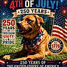 dog, grass, bandana, american_flag, patriotic, fireworks, text_overlay, holiday, celebration, outdoor, canine, festive, summer, 4th_of_july, banner, nature, blue_sky, dog_collar, portrait, pride
