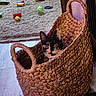 cat, basket, indoor, toy, carpet, floor, curious, black_and_white, woven, pet, animal, playful, wide_eyes, cozy, home, wood_floor, handles, looking, cute, feline