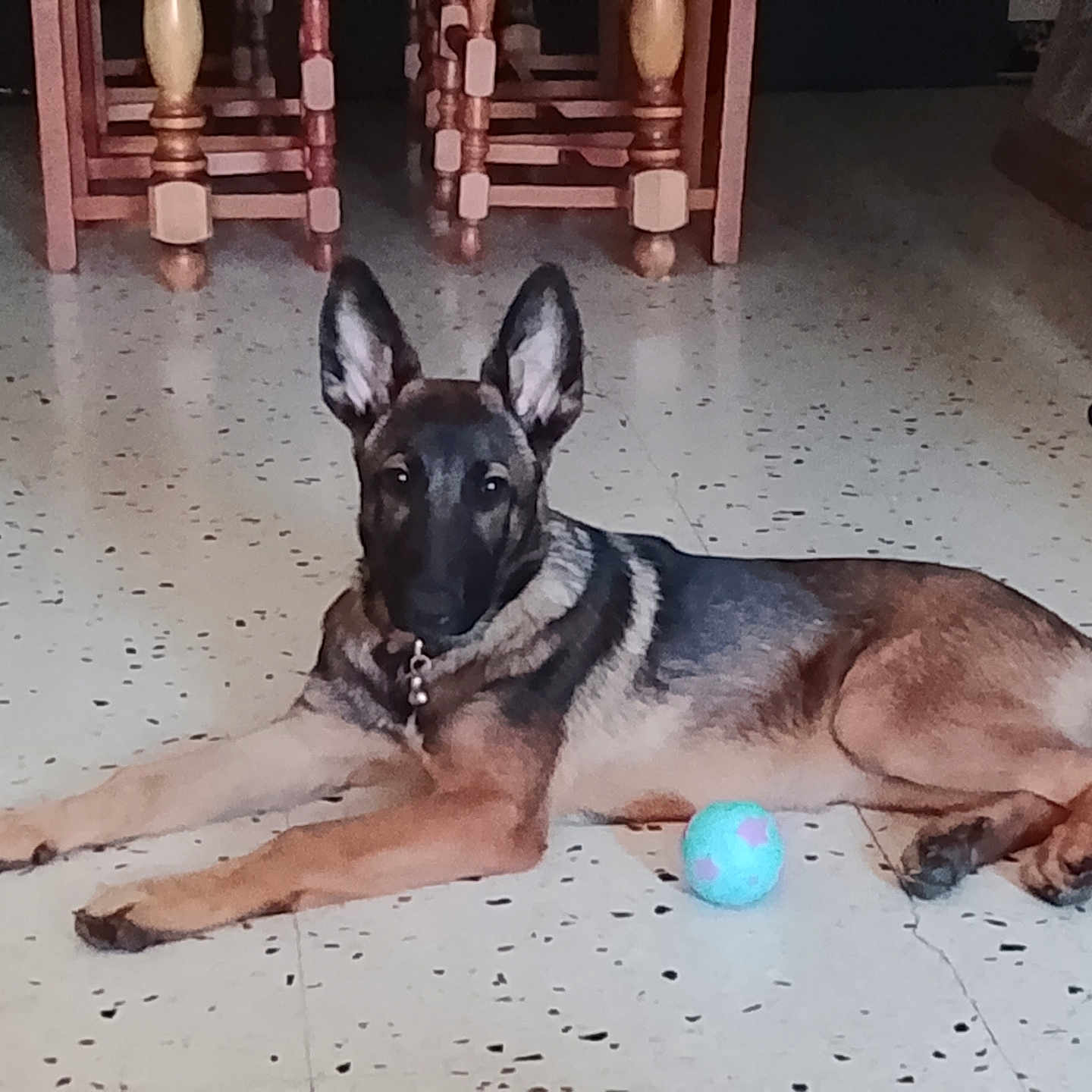 Bella