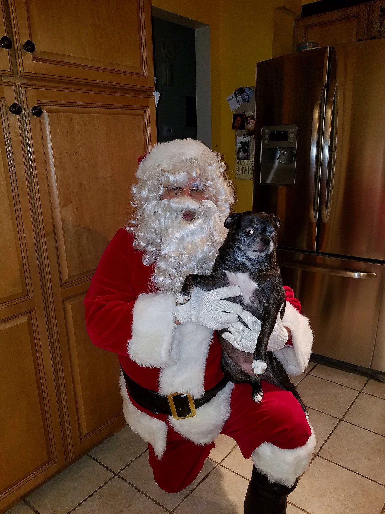 Maci is registered to the contest to win money with this photo: christmas, costume, fictional_character, fur, holiday, lap, santa_claus