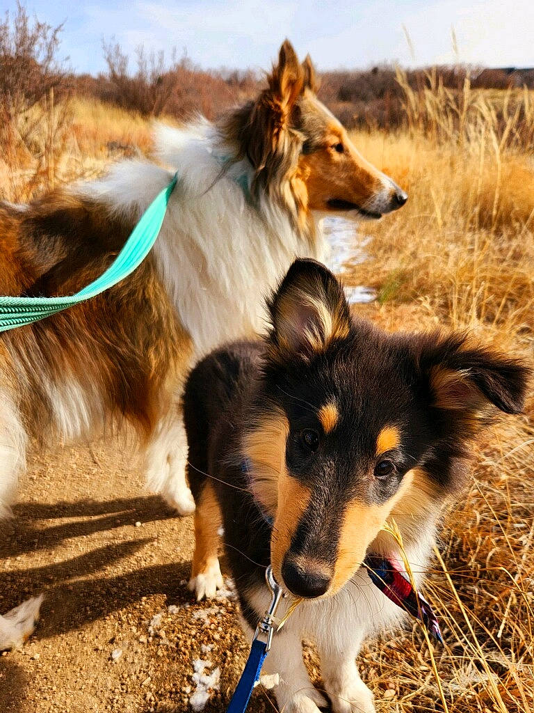 Vallie And Wednesday