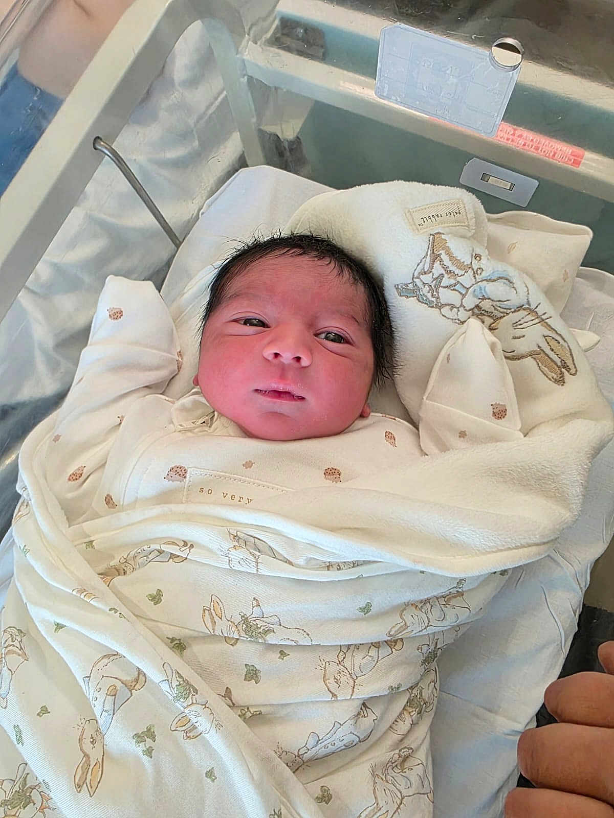 Muhammad is registered to the contest to win money with this photo: baby, bassinet, bed, blanket, clothing, cute, face, hand, hospital, human, indoors, infant, newborn, patterned, person, resting, skin, sleeping, soft, wrapped