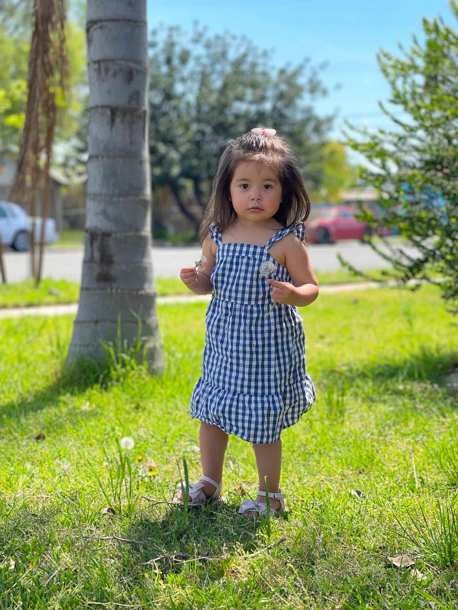 Alison is registered to the contest to win money with this photo: blond, brown_hair, child, day_dress, doll, dress, electric_blue, garden, grass, grassland, happy, leaf, leisure, pattern, people_in_nature, person, plant, sky, toddler, toy
