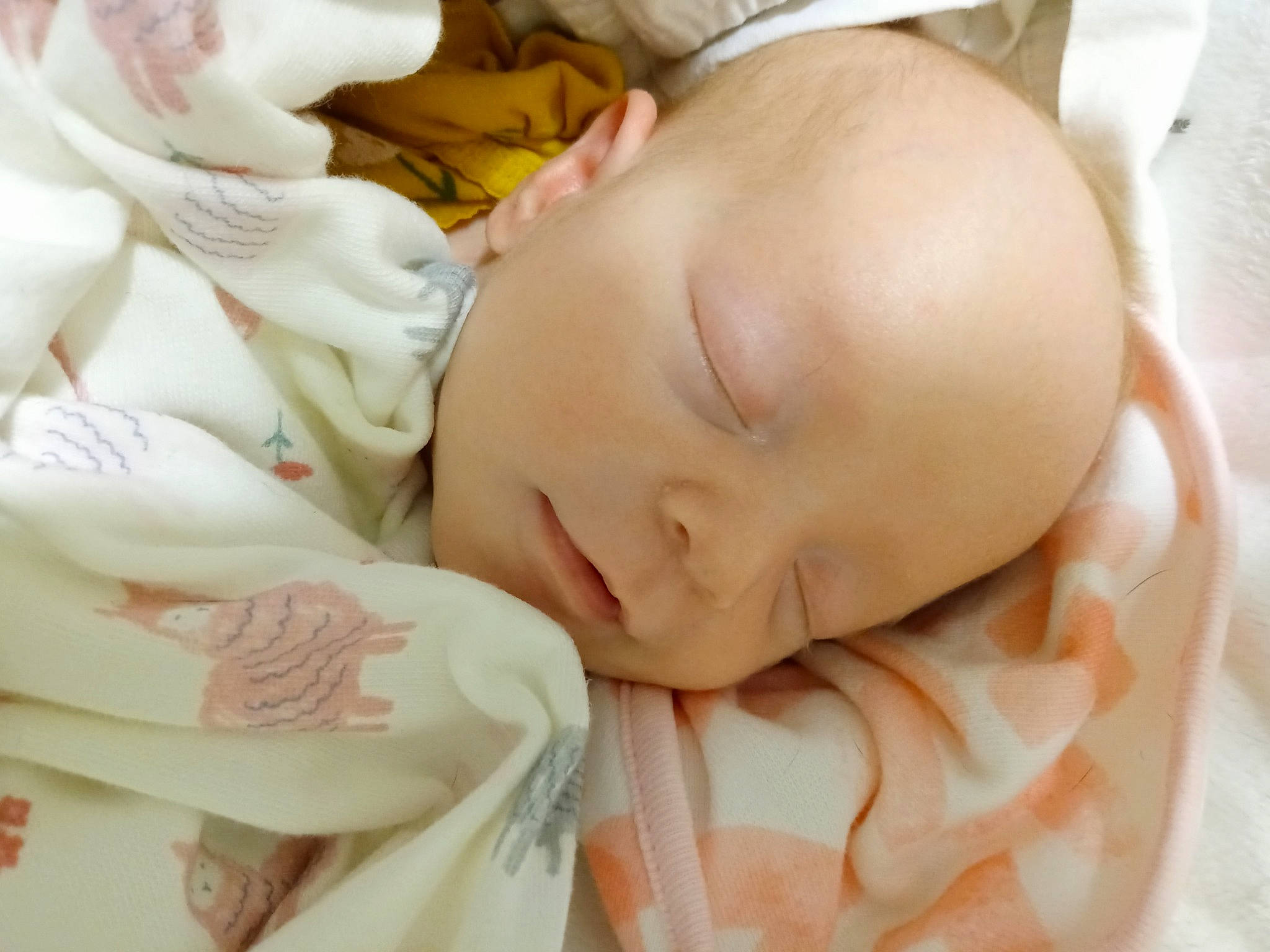 Jazmine joined the competition — help win amazing prizes! baby, baby_products, baby_sleeping, baby_toddler_clothing, bedtime, cheek, child, chin, comfort, eyebrow, happy, linens, nap, nose, pattern, person, portrait_photography, skin, sleep, thumb