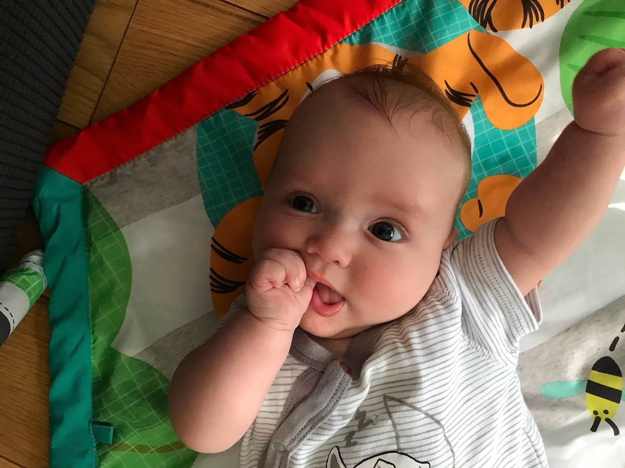 James participe au concours pour gagner de l'argent avec cette photo : baby, cheek, chin, ear, eye, eyebrow, finger, gesture, green, happy, head, human_body, iris, leaf, lip, mouth, nose, person, product, skin