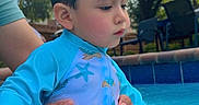 Thiago is registered to the contest to win money with this photo: adult_hand, baby, backyard, child, curious, family, outdoor, pool, portrait, profile, rash_guard, sea_animals, starfish, sunny, swimming, swimsuit, toddler, trees, turtle, water