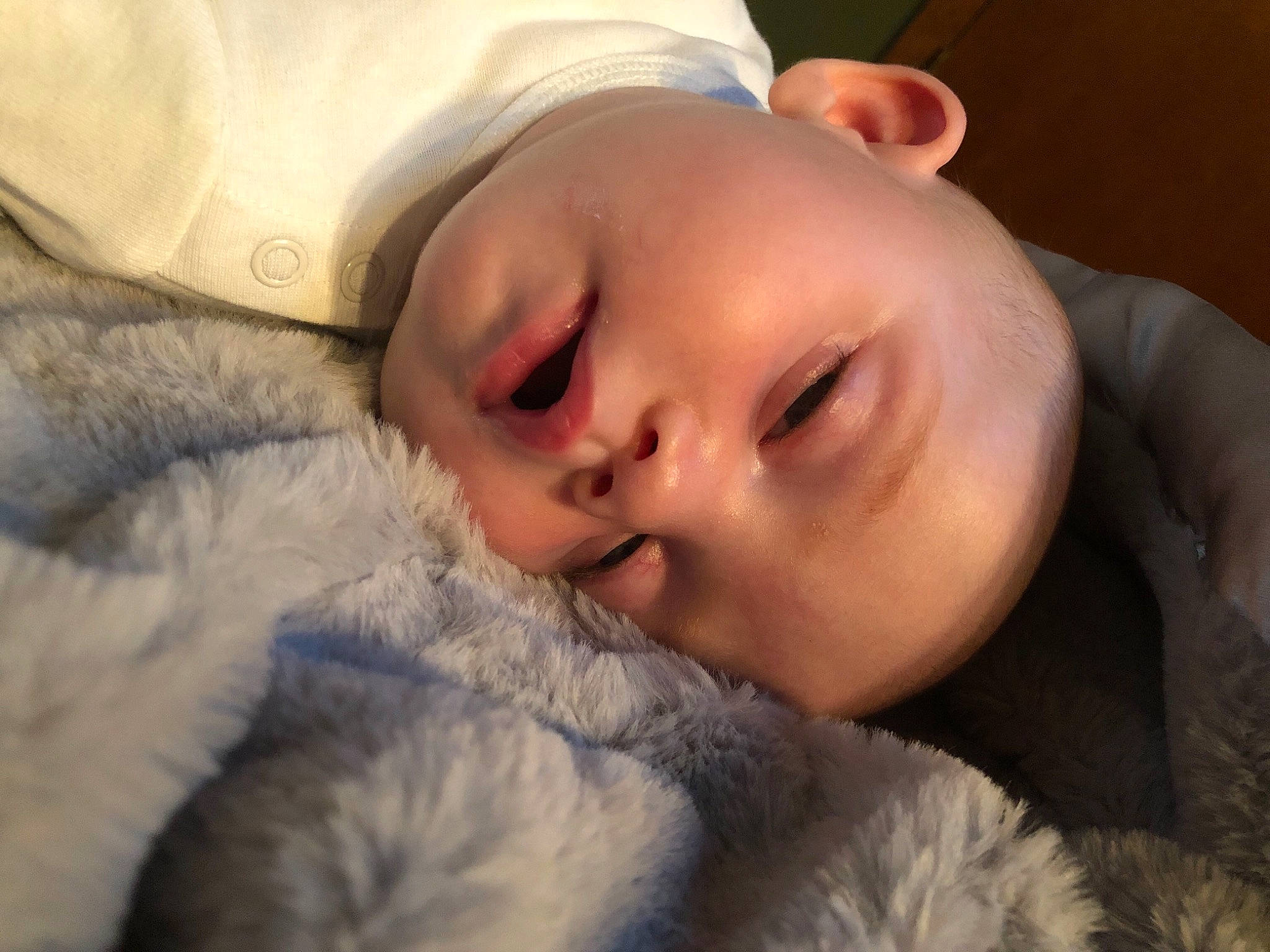 Hartley joined the competition — help win amazing prizes! baby, baby_sleeping, bedtime, cheek, child, close_up, comfort, ear, eye, eyelash, fur, happy, head, iris, linens, lip, nap, nose, person, textile