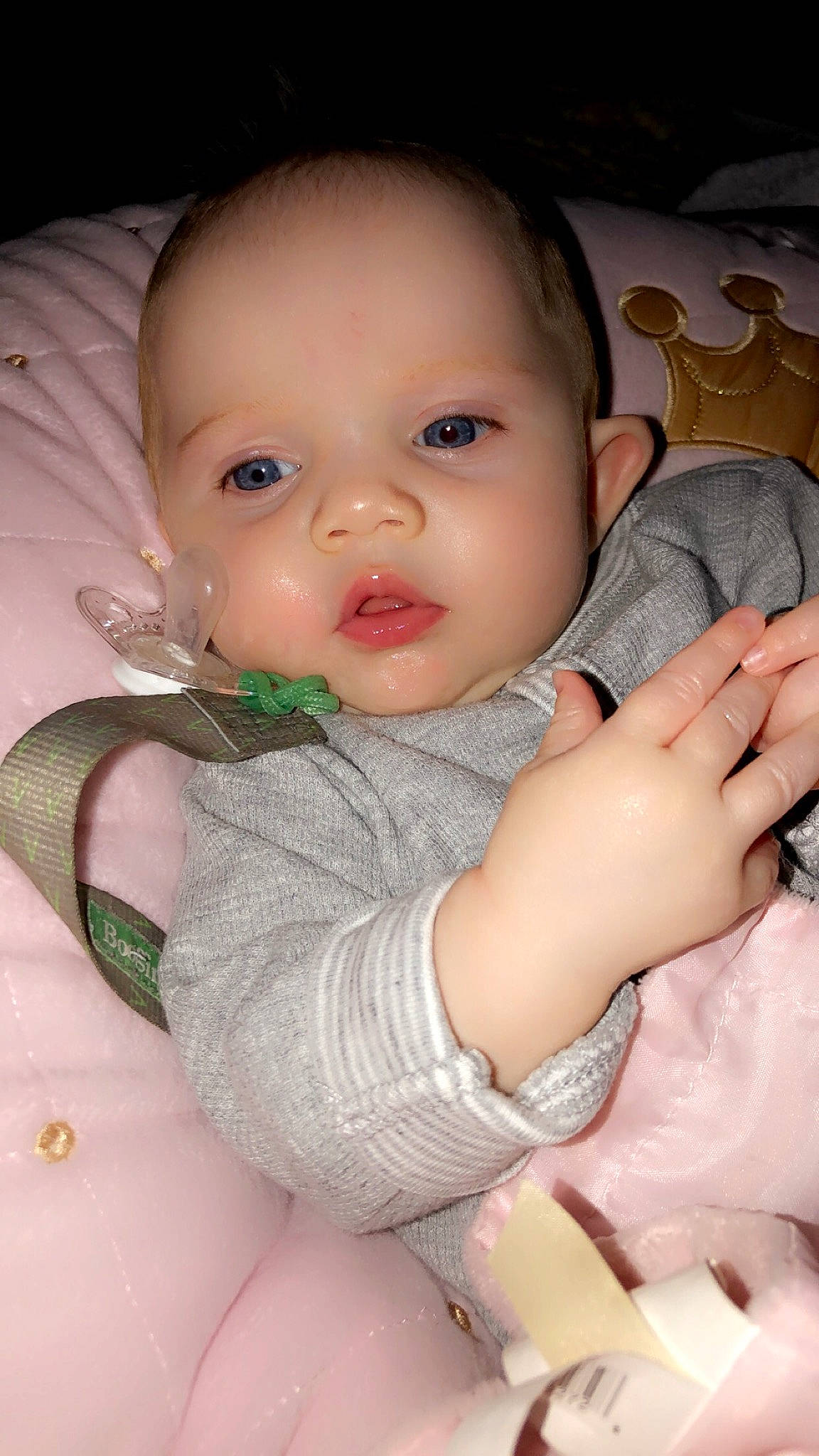 Hartley joined the competition — help win amazing prizes! arm, baby_toddler_clothing, cheek, comfort, ear, eyebrow, finger, hand, head, human_body, iris, joint, lip, mammal, mouth, neck, nose, person, skin, sleeve
