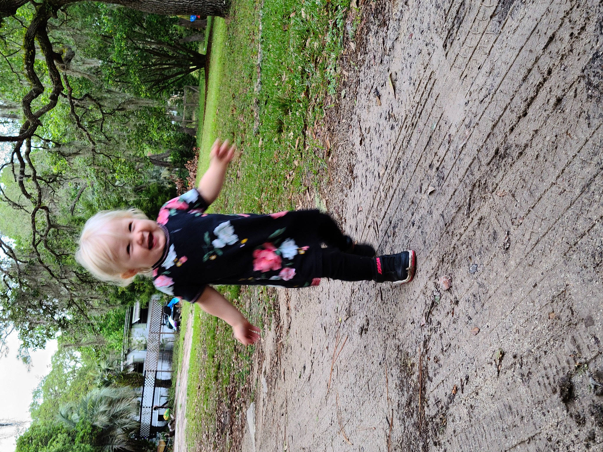 Theia joined the competition — help win amazing prizes! adventure, fun, leisure, person, plant, recreation, tree