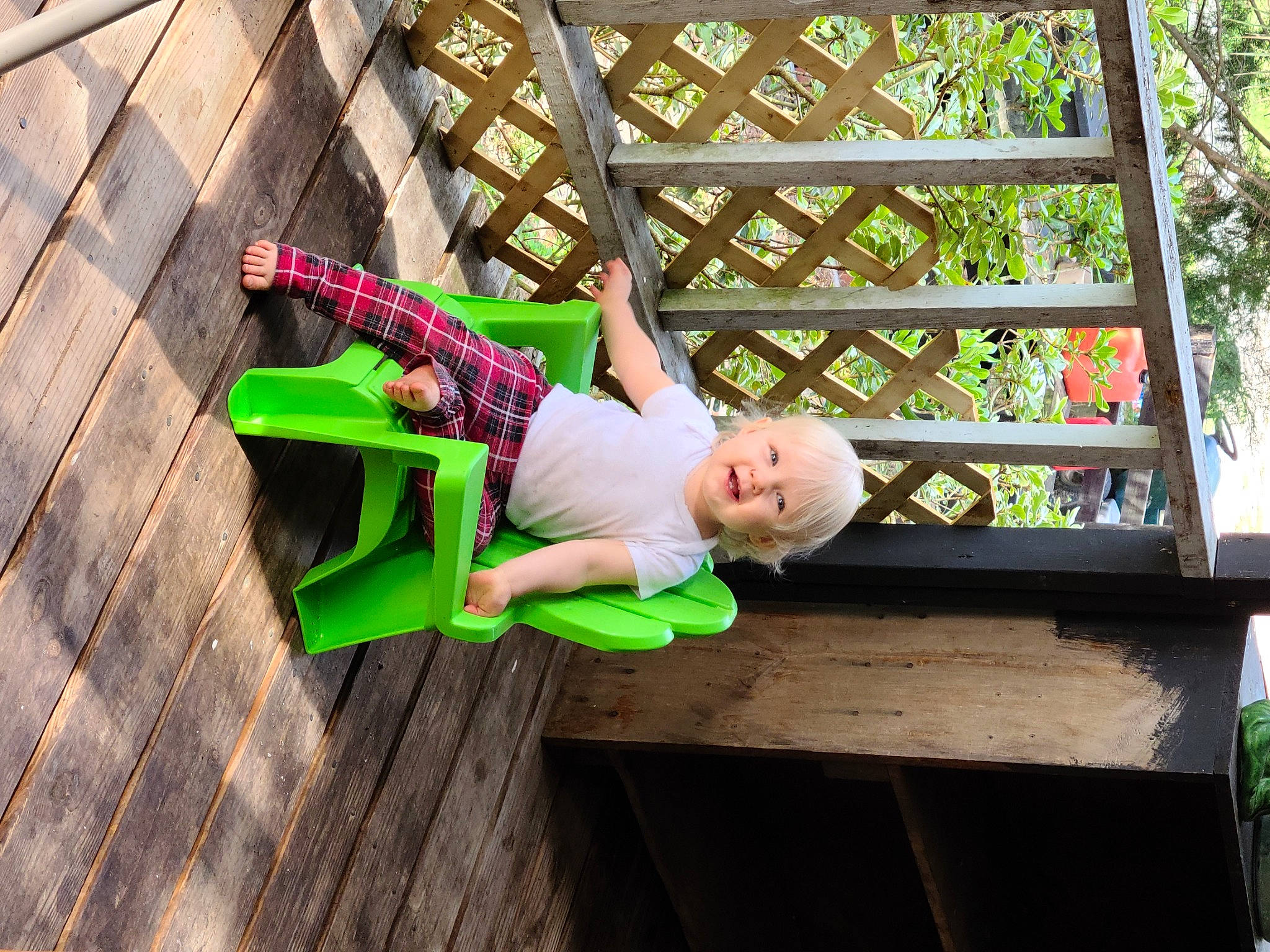 Theia joined the competition — help win amazing prizes! child, fun, green, leisure, person, plant, tree