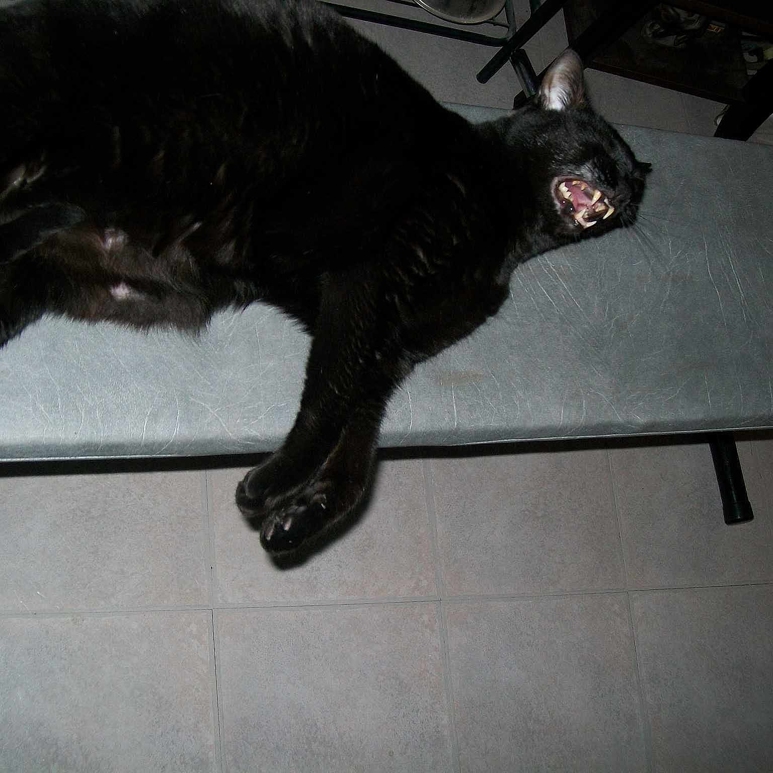 Foulam participe au concours pour gagner de l'argent avec cette photo :