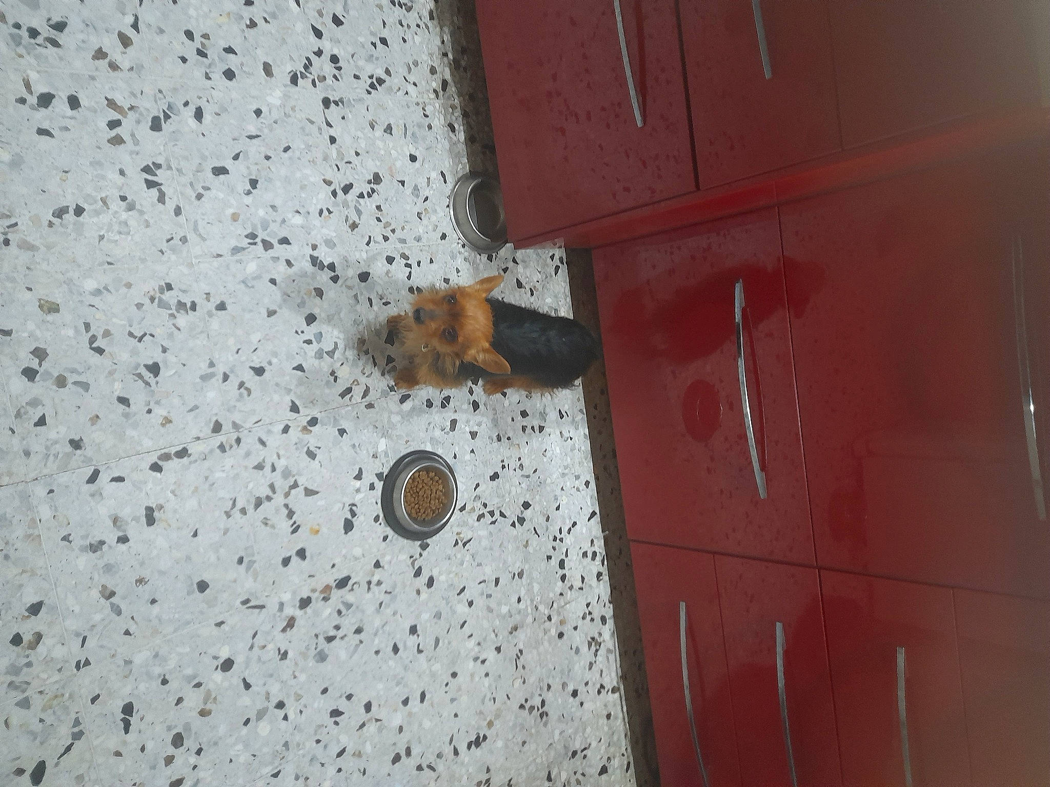 Millye participe au concours pour gagner de l'argent avec cette photo : ball, brown, ceiling, circle, concrete, door, door_handle, floor, flooring, hardwood, home_door, metal, pattern, plywood, room, terrestrial_animal, wood, wood_stain