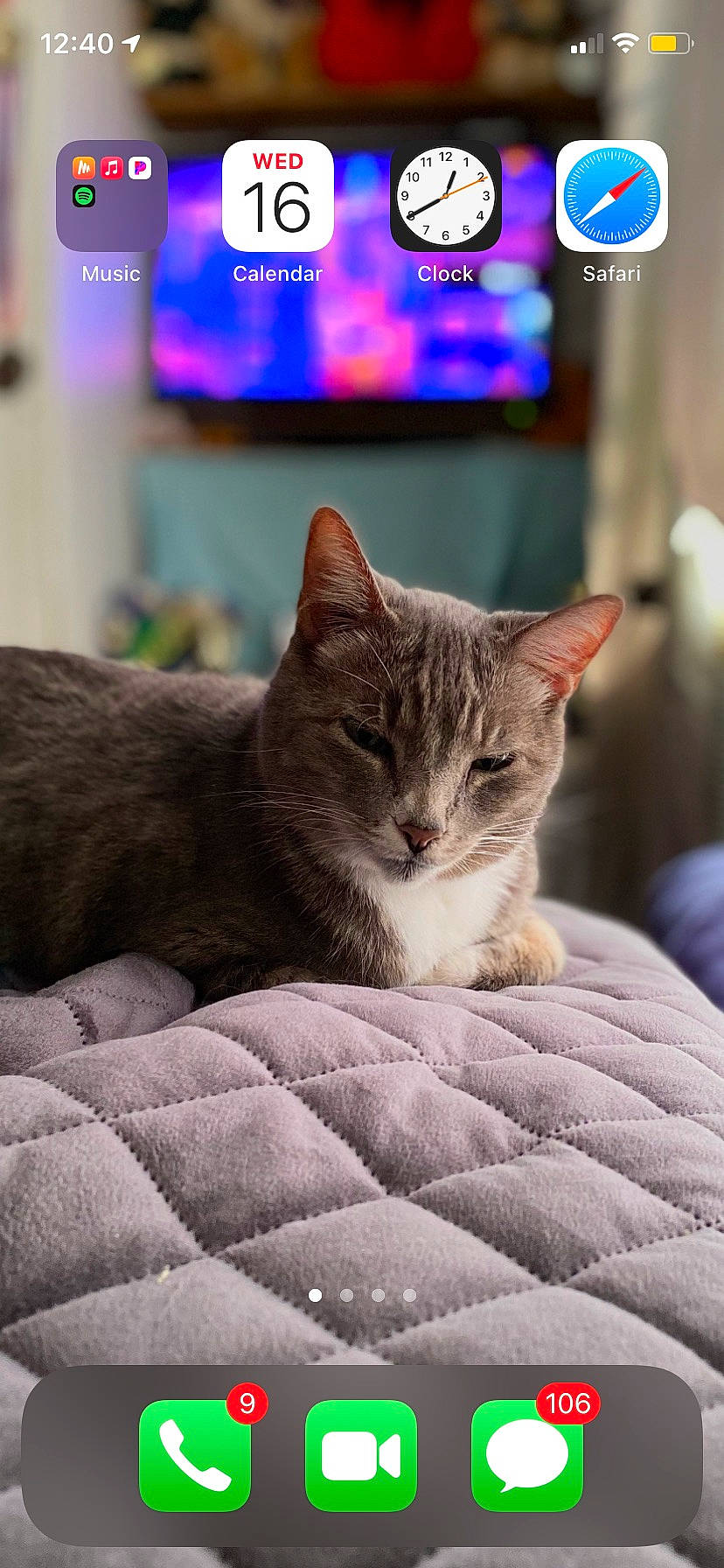 Halo joined the competition — help win amazing prizes! carnivore, cat, cat_supply, claw, comfort, domestic_short_haired_cat, fawn, felidae, fur, linens, paw, photo_caption, sitting, small_to_medium_sized_cats, snout, tail, terrestrial_animal, whiskers, wildlife