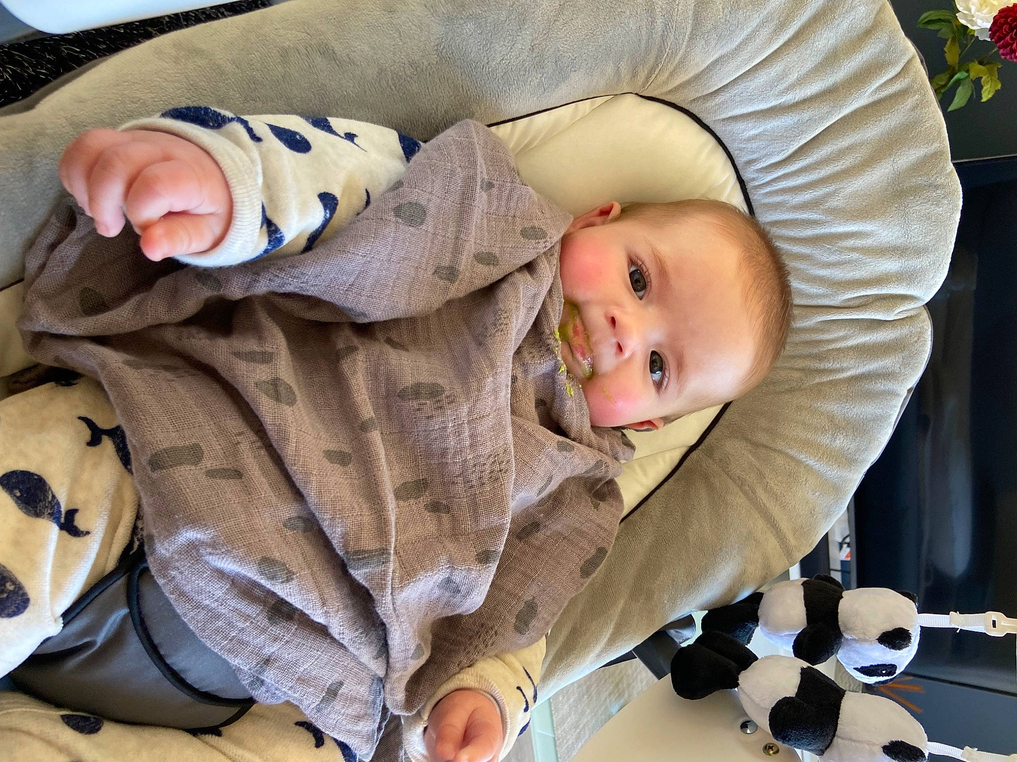 Milann a rejoint le concours — aidez-le/la à gagner de superbes lots ! baby, baby_products, baby_safety, baby_sleeping, baby_toddler_clothing, cheek, child, comfort, event, head, linens, pattern, person, product, sitting, sleeve, smile, toddler, tree, white