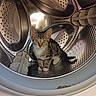 Poupette participe au concours pour gagner de l'argent avec cette photo : kitten, cat, washing_machine, metal, curious, indoor, pet, animal, tabby, small, young, cute, feline, drum, shiny, reflective, appliance, domestic, looking, sitting
