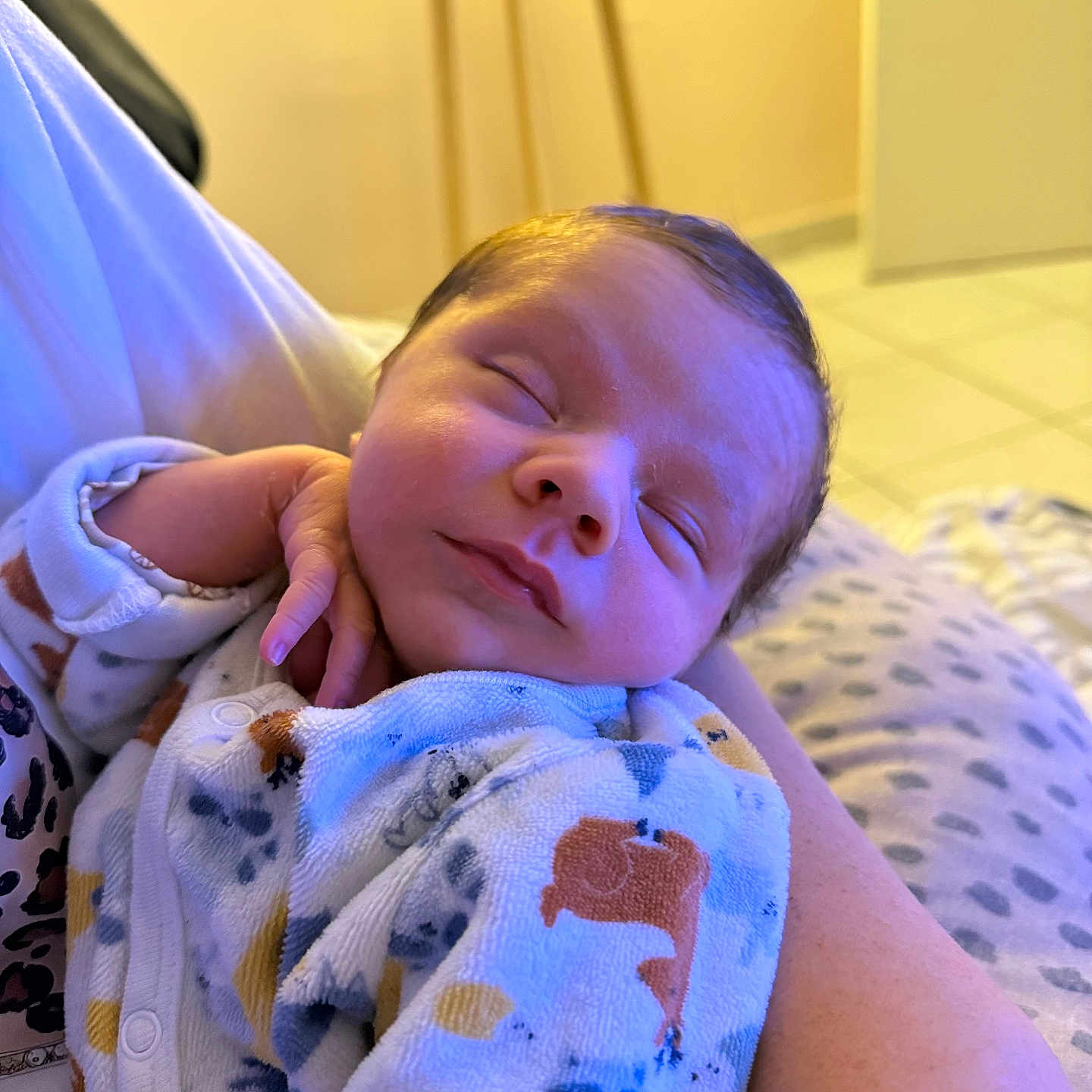 Léandro a rejoint le concours — aidez-le/la à gagner de superbes lots ! animal_print, arm, baby, blanket, child, closeup, cozy, cute, home, indoor, infant, newborn, onesie, peaceful, person, portrait, relaxed, resting, sleeping, soft_lighting