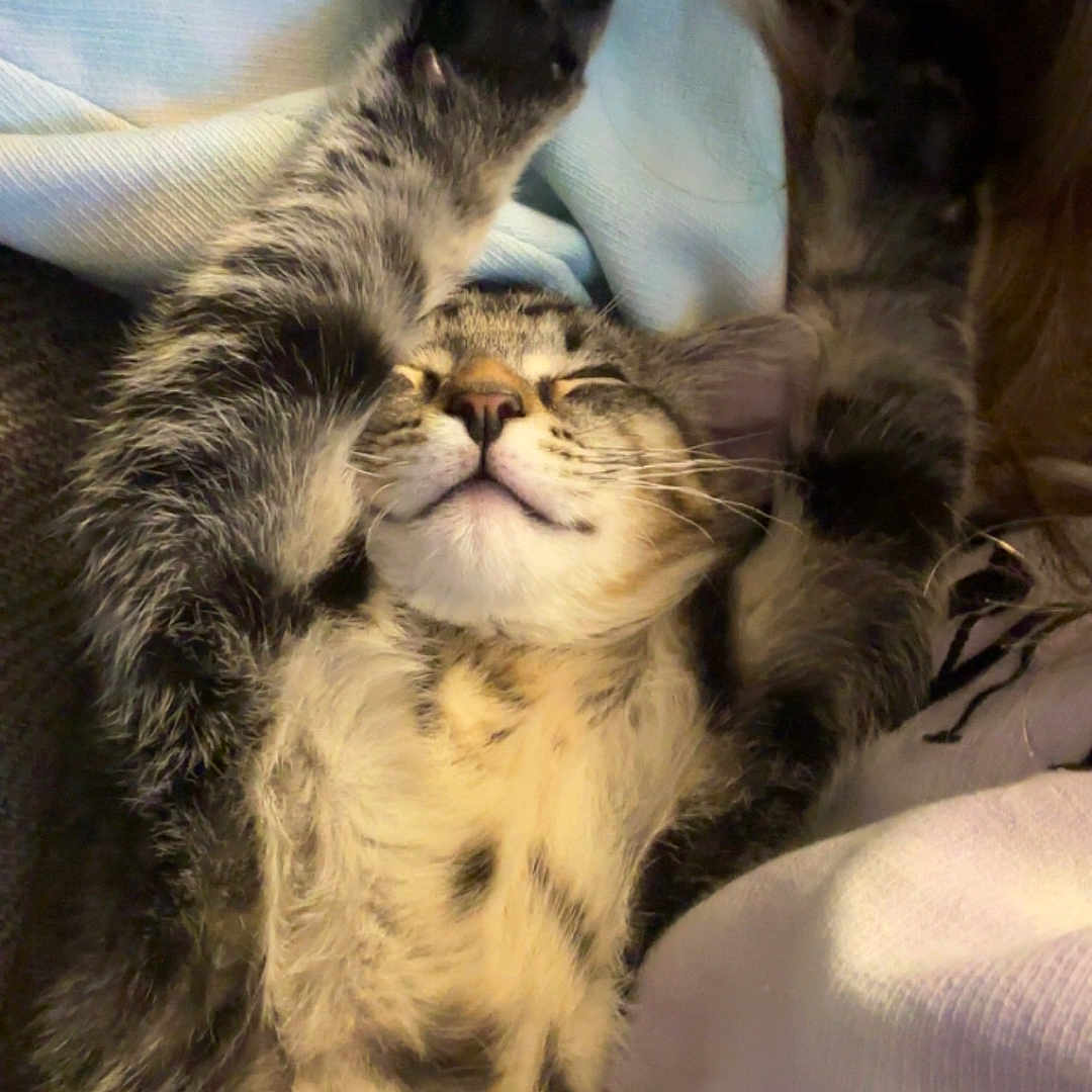 Gus