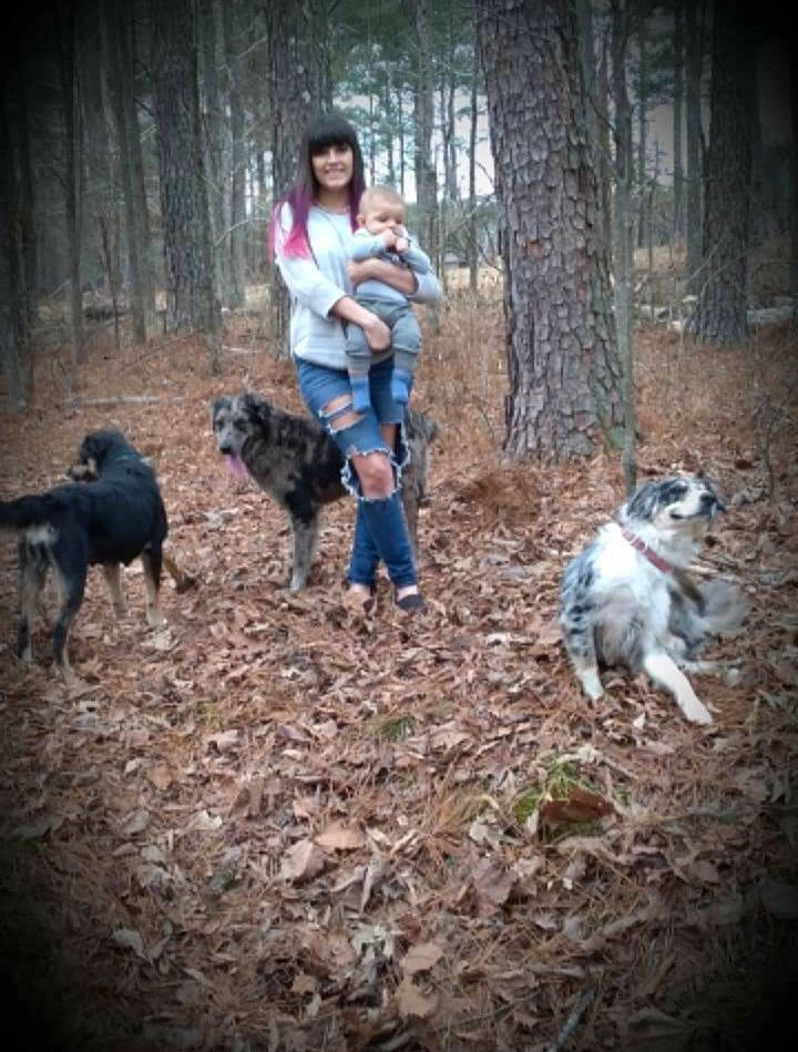 Straza is registered to the contest to win money with this photo: boot, canidae, carnivore, companion_dog, dog, dog_breed, fawn, forest, fun, fur, grass, hat, house, plant, recreation, sitting, soil, sporting_group, tree, woodland