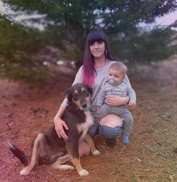 Straza joined the competition — help win amazing prizes! canidae, carnivore, companion_dog, dog, dog_breed, fawn, fun, grass, happy, lap, mammal, people_in_nature, plant, recreation, sitting, soil, sporting_group, toddler, tree, working_animal