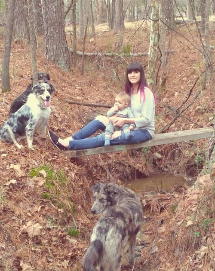 Indigo joined the competition — help win amazing prizes! adventure, canidae, carnivore, companion_dog, dog, dog_breed, fawn, forest, fun, herding_dog, mammal, plant, recreation, soil, sporting_group, trail, tree, vertebrate, wood, woodland