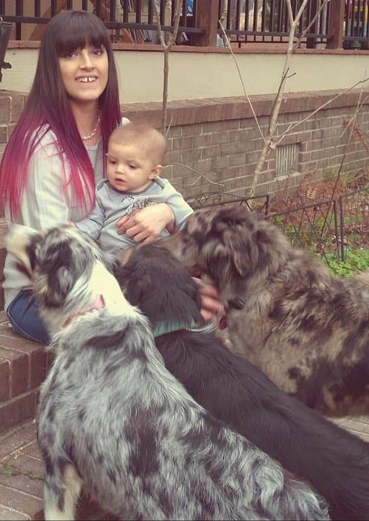 Indigo is registered to the contest to win money with this photo: canidae, carnivore, companion_dog, dog, dog_breed, fence, fur, happy, interaction, lap, mammal, plant, sitting, smile, snapshot, snout, sporting_group, toddler, vertebrate, working_animal