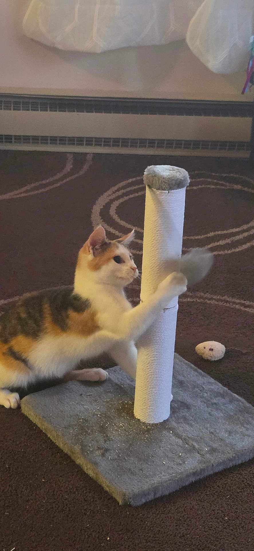 Precious