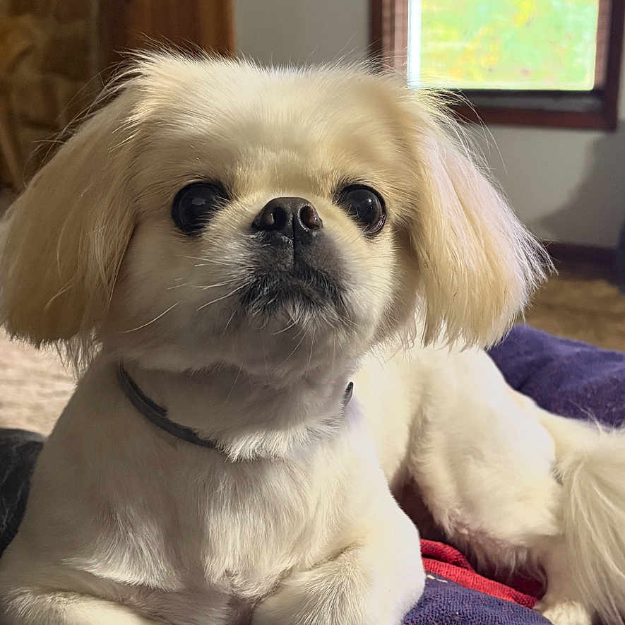 Max