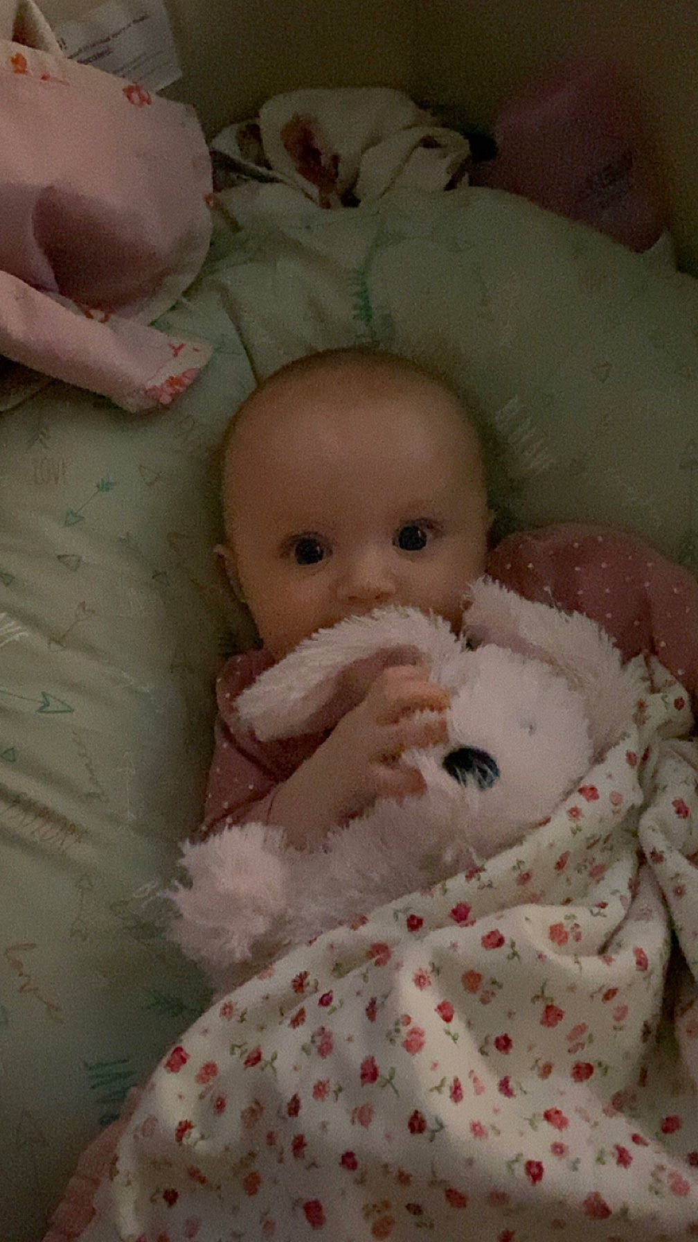 Ivie joined the competition — help win amazing prizes! baby, cheek, child, chin, comfort, doll, eye, eyelash, fur, head, human_body, iris, linens, nose, person, pink, room, skin, textile, toy