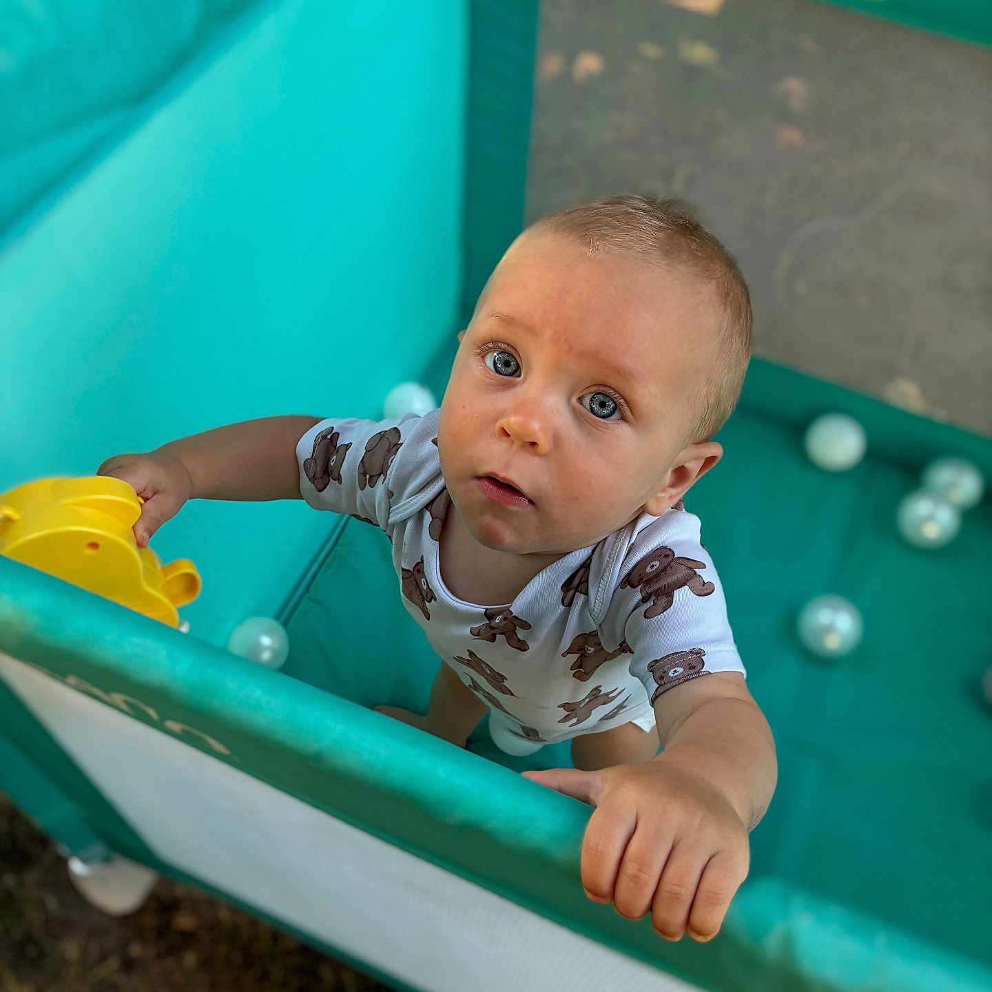 Dahïss participe au concours pour gagner de l'argent avec cette photo : baby, blue_eyes, child, clothing, curious, expression, face, green, hand, infant, looking_up, mesh, onesie, outdoor, person, plastic_balls, playpen, standing, toy, turquoise