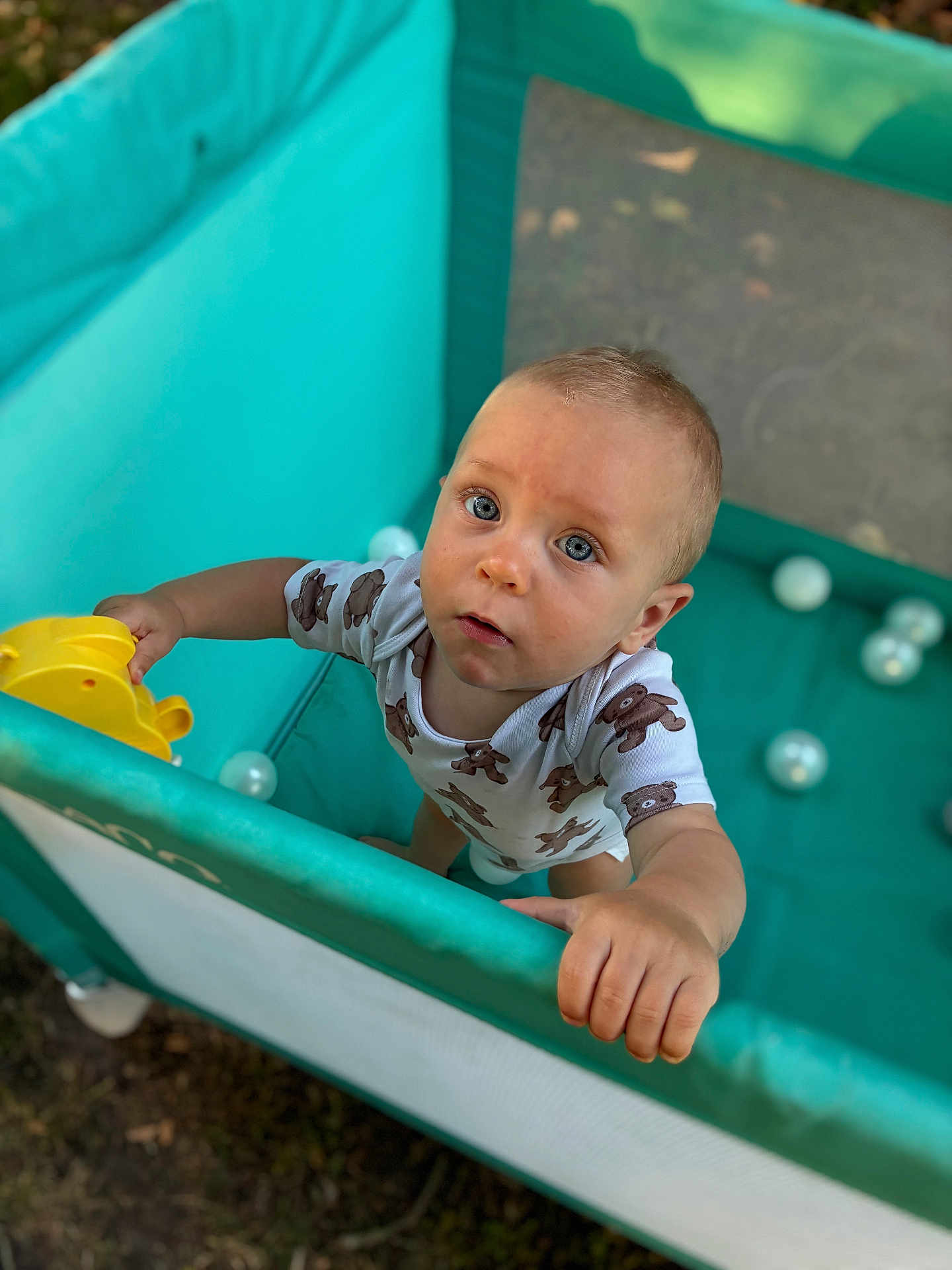 Dahïss participe au concours pour gagner de l'argent avec cette photo : baby, blue_eyes, child, clothing, curious, expression, face, green, hand, infant, looking_up, mesh, onesie, outdoor, person, plastic_balls, playpen, standing, toy, turquoise