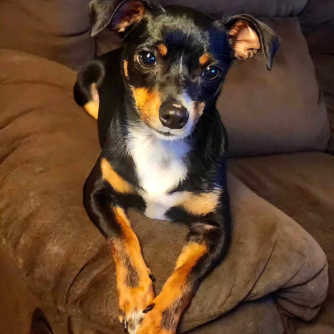 Molly