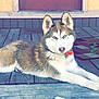Remie is registered to the contest to win money with this photo: husky, dog, blue_eyes, pet, outdoor, wooden_porch, toy, child, bare_feet, collar, relaxed, animal, canine, summer, daylight, house, door, mat, floor, playtime