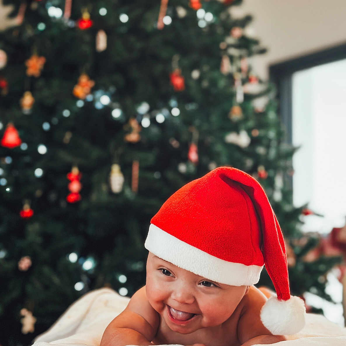 Olivia participe au concours pour gagner de l'argent avec cette photo : baby, babylaughing, blanket, cap, christmas, christmasdecorations, christmastree, clothing, face, festival, happy, hat, head, laughing, person, photography, plant, portrait, smile, tree