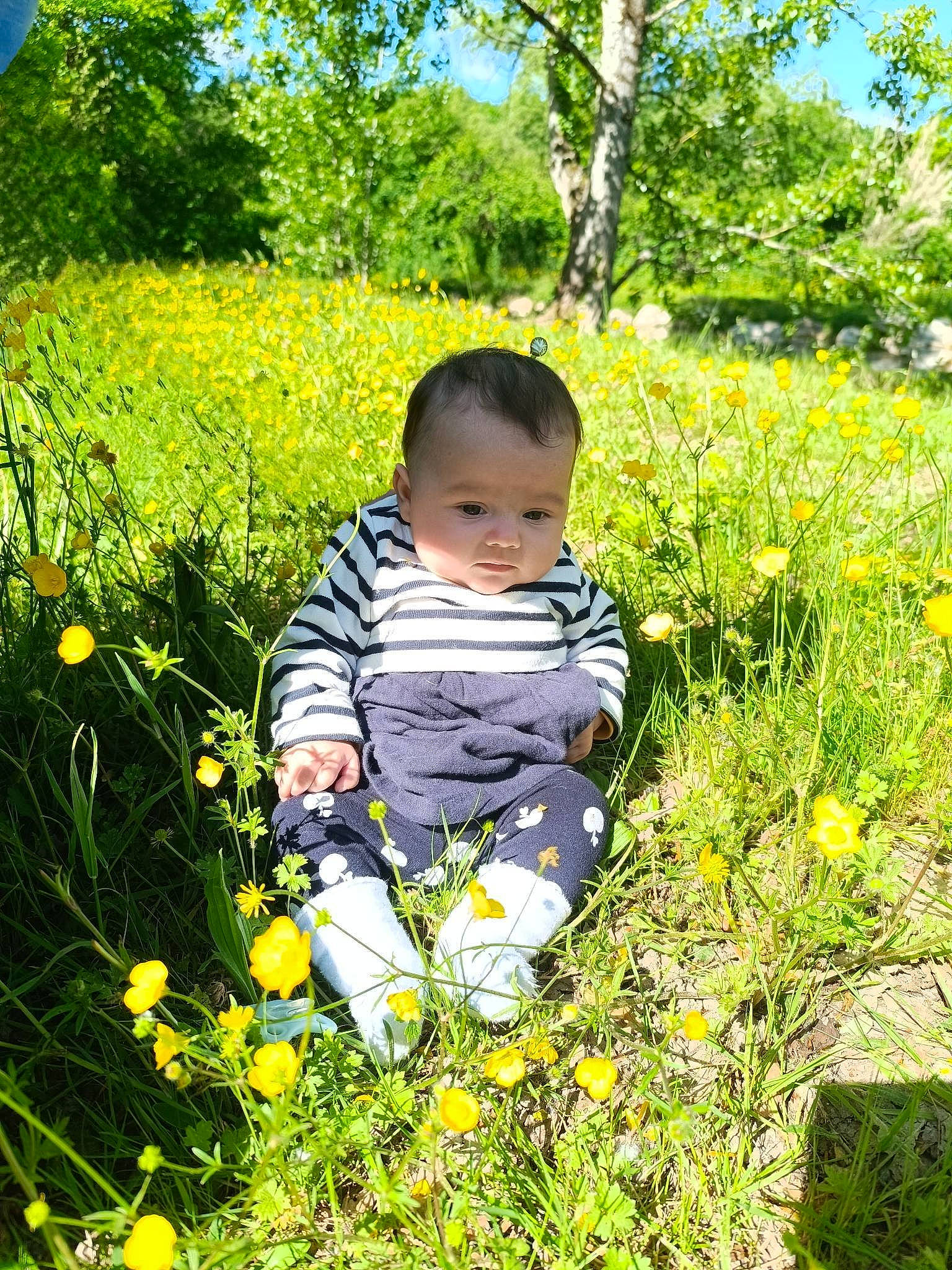 Fallone a rejoint le concours — aidez-le/la à gagner de superbes lots ! agriculture, baby, baby_toddler_clothing, botany, flower, flowering_plant, grass, grass_family, grassland, groundcover, happy, landscape, leaf, meadow, natural_landscape, people_in_nature, person, plant, prairie, toddler