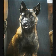 Poncho a rejoint le concours — aidez-le/la à gagner de superbes lots ! dog, painting, portrait, realistic_art, wooden_surface, photo_strip, plastic_wrap, dark_background, animal_art, canine, artwork, photorealistic, studio_lighting, table, paper, ears, fur, face, eyes, tongue