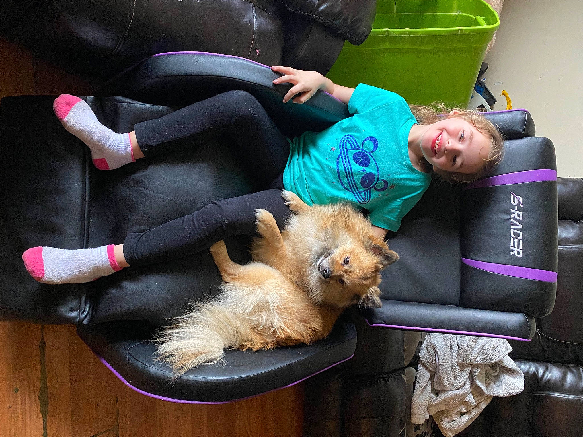 Shelby joined the competition — help win amazing prizes! canidae, carnivore, comfort, companion_dog, couch, dog, dog_breed, fun, fur, human_leg, joy, lap, person, photograph, shoe, sitting, snapshot, sneakers, sporting_group, terrier