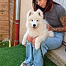 Snow a rejoint le concours — aidez-le/la à gagner de superbes lots ! puppy, dog, white_dog, fluffy, pet, animal, person, woman, face, glasses, tattoo, smiling, outdoor, doorstep, house, wooden_fence, artificial_grass, jeans, slippers, portrait