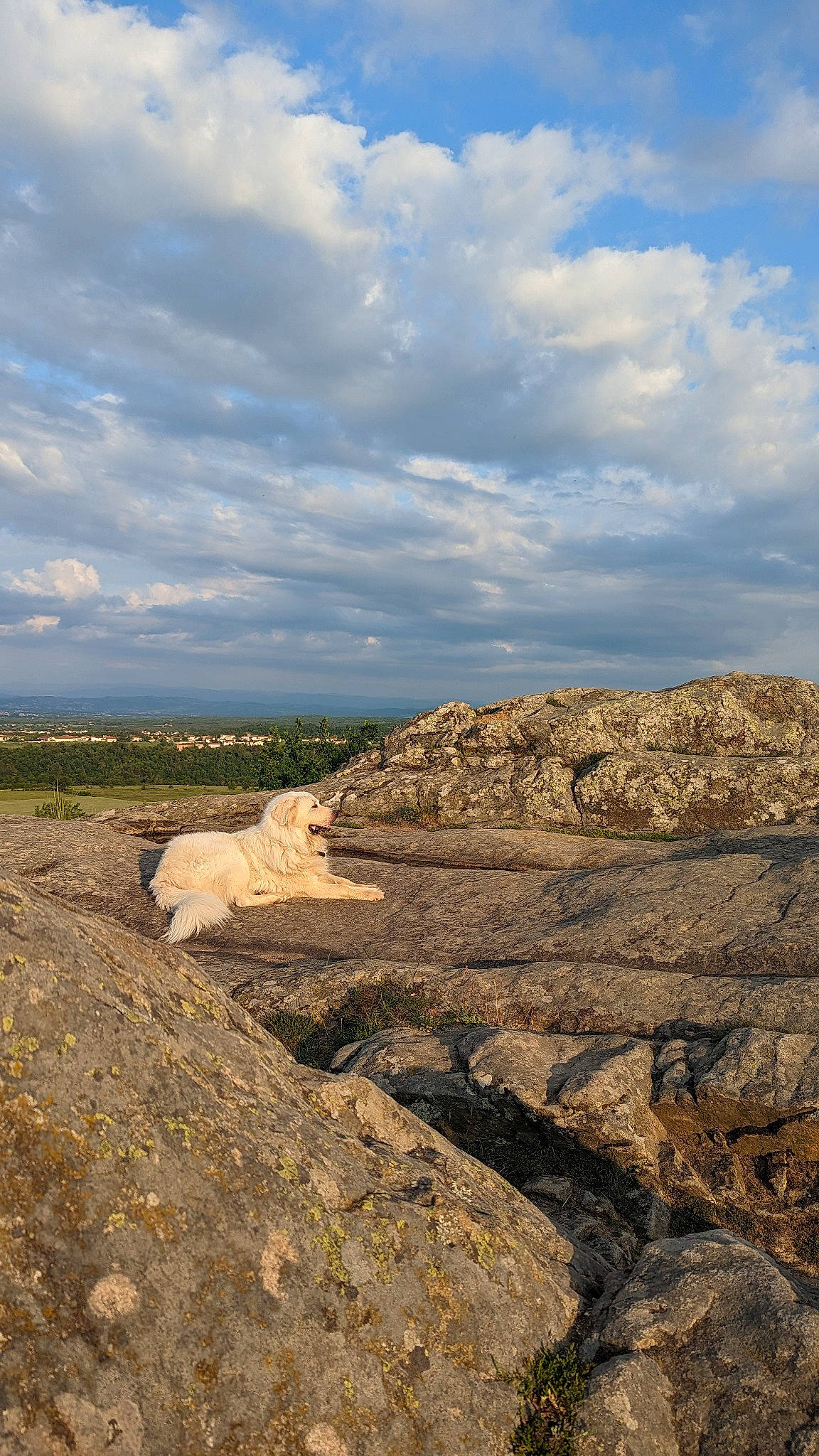 Sam participe au concours pour gagner de l'argent avec cette photo : badlands, bedrock, cloud, cumulus, erosion, fell, formation, grassland, highland, hill, horizon, landscape, makhtesh, natural_landscape, outcrop, plateau, rock, sky, soil, wood