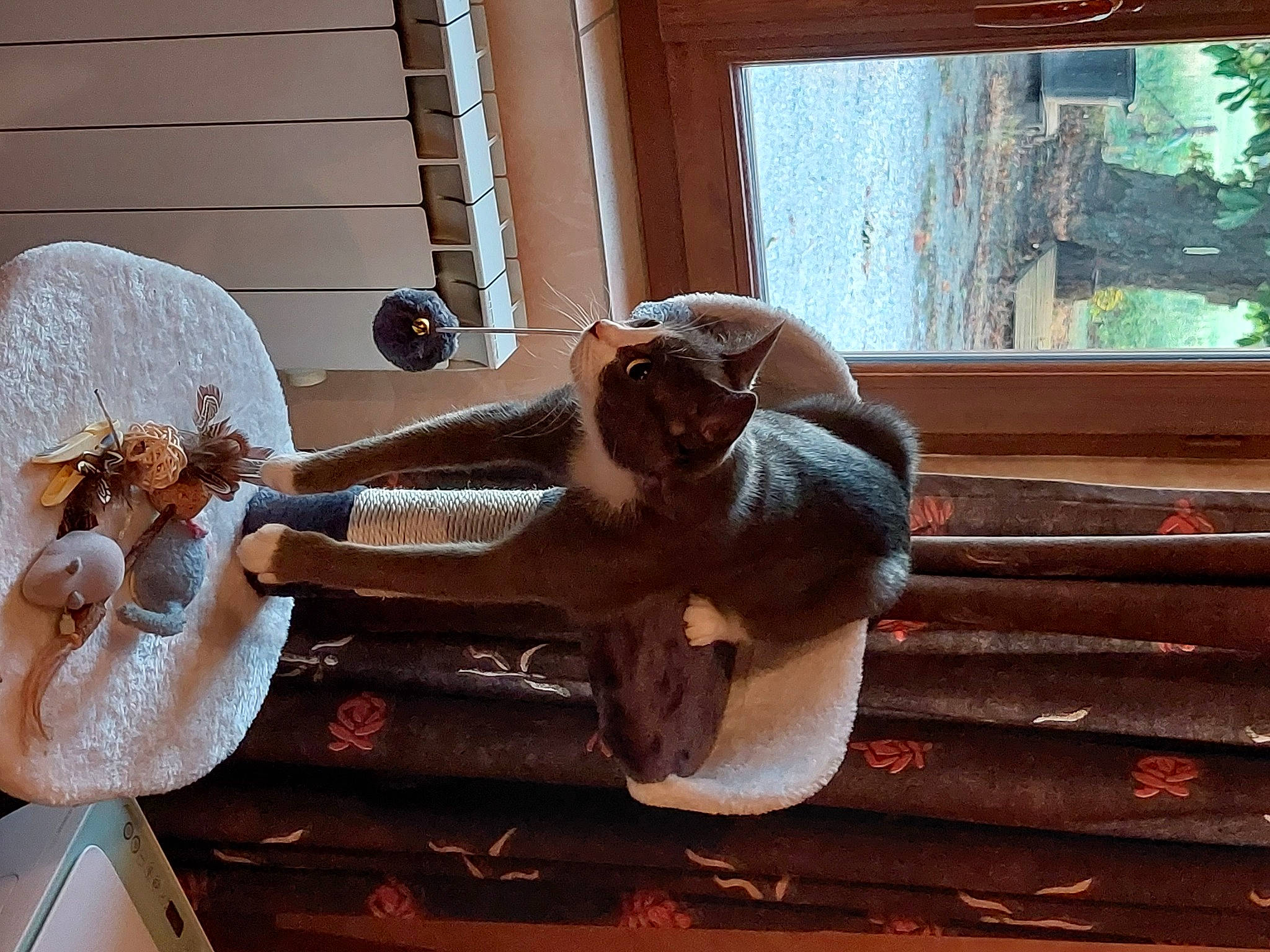 Tora participe au concours pour gagner de l'argent avec cette photo : art, carving, daylighting, hardwood, hat, leisure, metal, room, sculpture, sitting, tints_and_shades, toy, visual_arts, window, wood