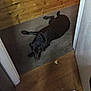 Ebony is registered to the contest to win money with this photo: animal, black_dog, carpet, collar, corner, dim_lighting, dog, door, floor, home, indoor, lying_down, paper, pet, quiet, resting, room, shadow, wood_floor, wooden_wall