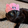 Spooky joined the competition — help win amazing prizes! black_cat, cat, pet, animal, fur, whiskers, yellow_eyes, pink_hat, costume, carpet, indoor, cute, playful, resting, close_up, domestic_cat, feline, headwear, funny, portrait