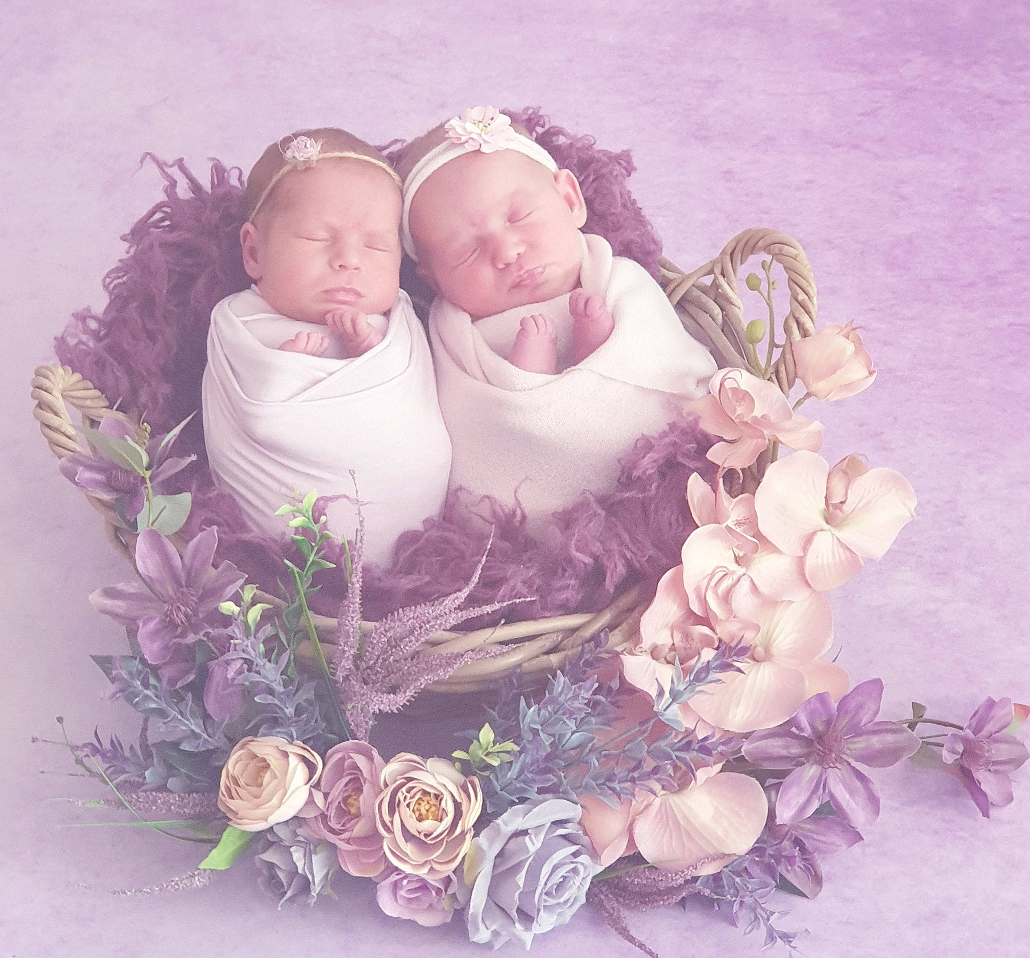 Ambre Et Jade participe au concours pour gagner de l'argent avec cette photo : baby, child, cut_flowers, flower, illustration, lavender, lilac, love, person, petal, photography, pink, plant, product, purple, rose, violet