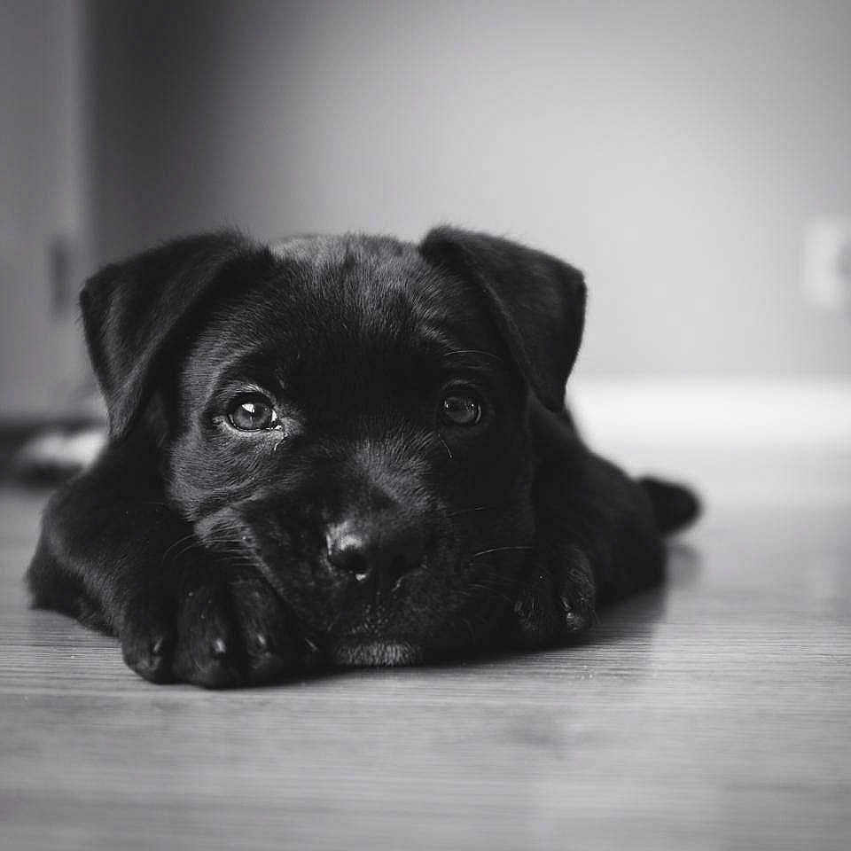 Jackson is registered to the contest to win money with this photo: