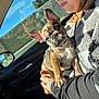 dog, puppy, french_bulldog, brindle_coat, blue_eye, person, glasses, car_interior, window, sky, sunlight, blanket, hand, tattoo, ear, cute, looking_at_camera, passenger, side_mirror, cozy