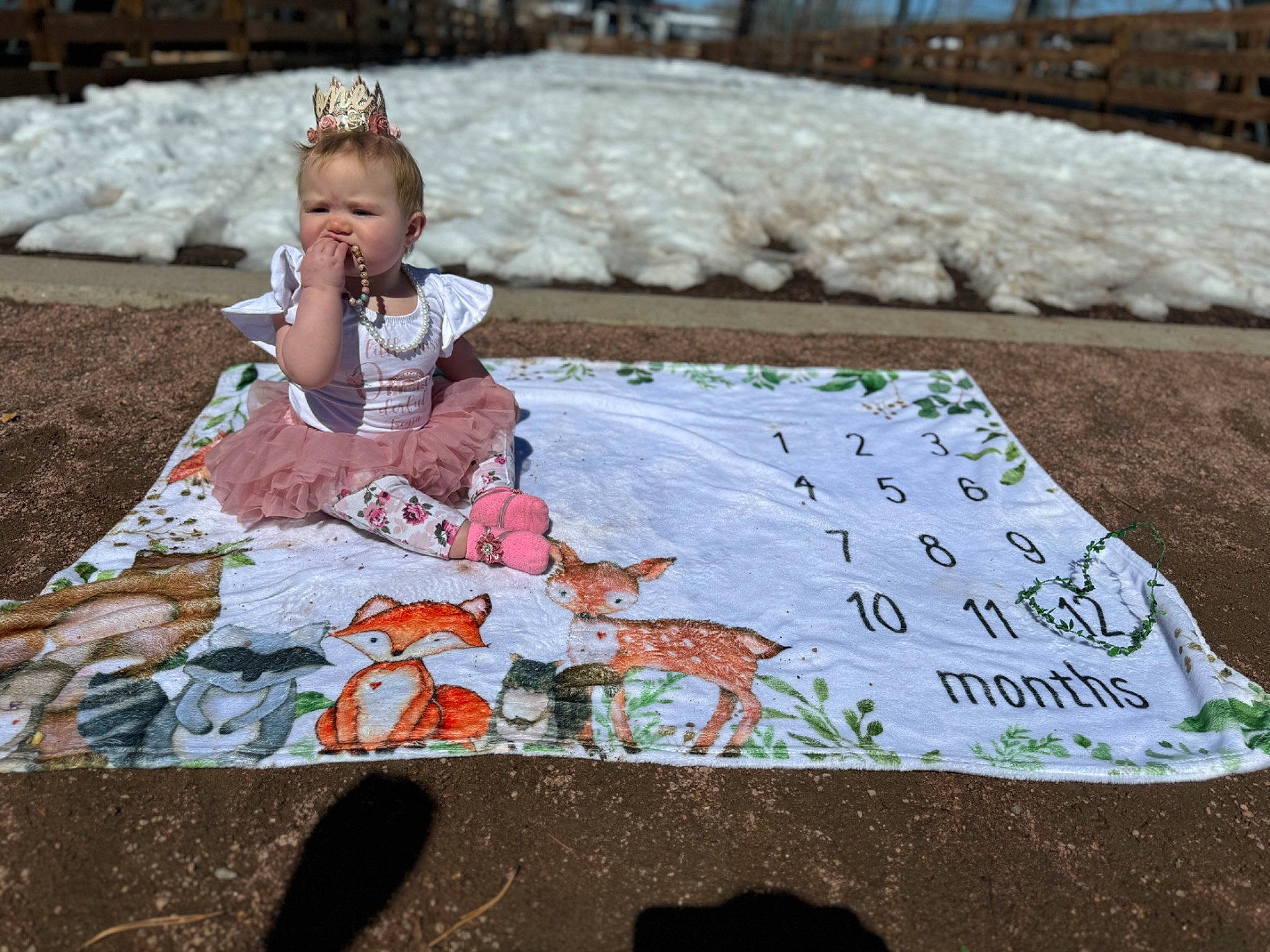 Freyja joined the competition — help win amazing prizes! adaptation, art, child, dress, event, grass, handwriting, leaf, leisure, linens, person, plant, public_space, recreation, road_surface, sidewalk, sitting, table, textile, toddler