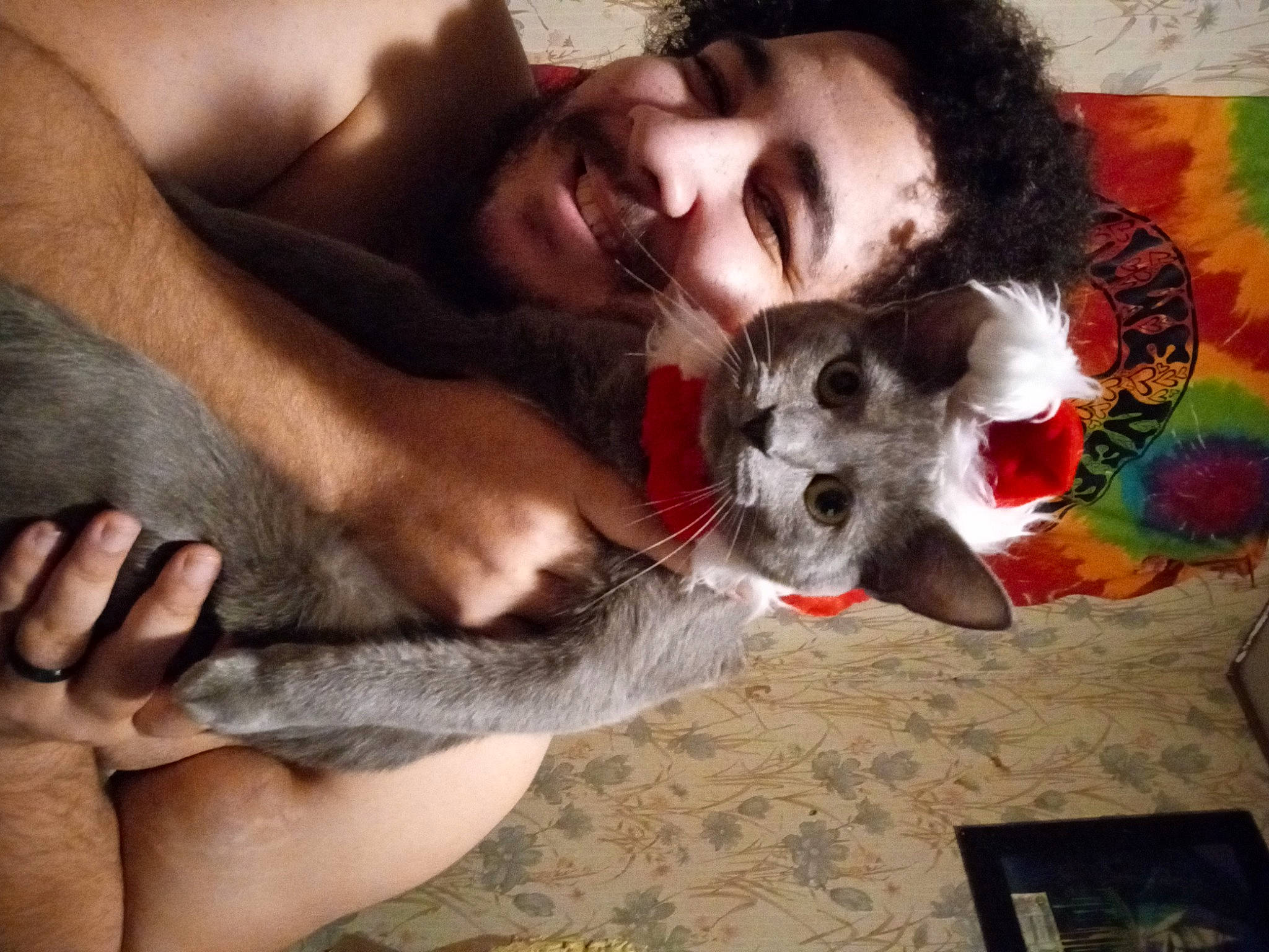 Hera joined the competition — help win amazing prizes! beard, canidae, carnivore, comfort, companion_dog, dog_breed, ear, fawn, felidae, fur, gesture, happy, paw, selfie, small_to_medium_sized_cats, smile, snout, sporting_group, t_shirt, whiskers