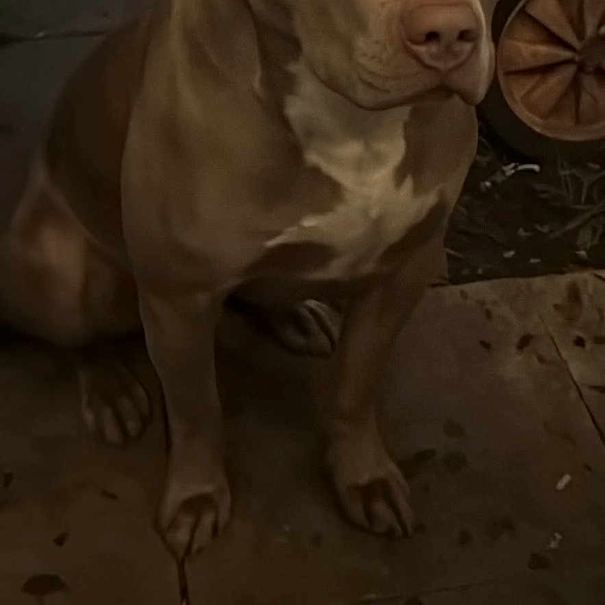 Romeo