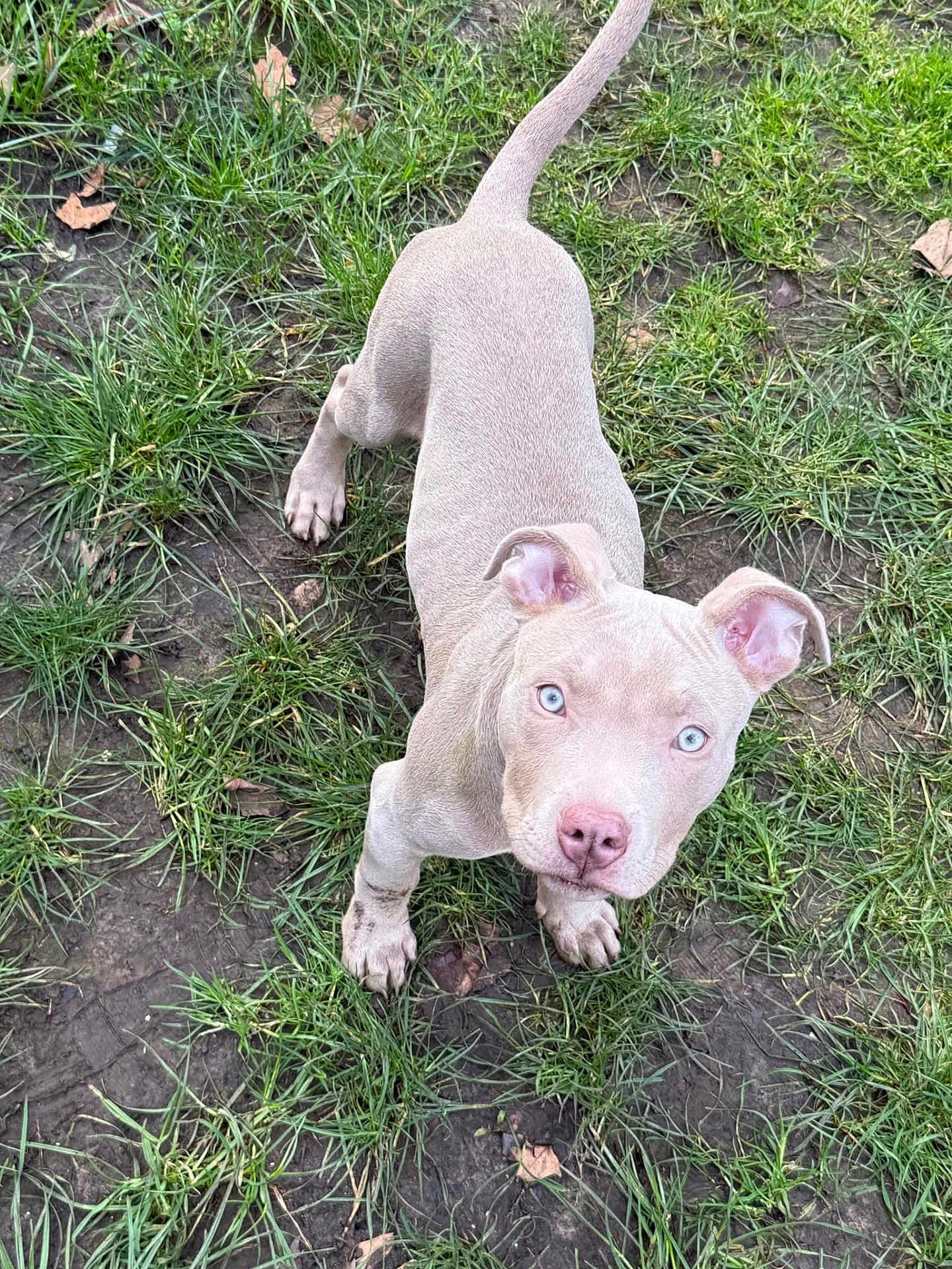 Romeo