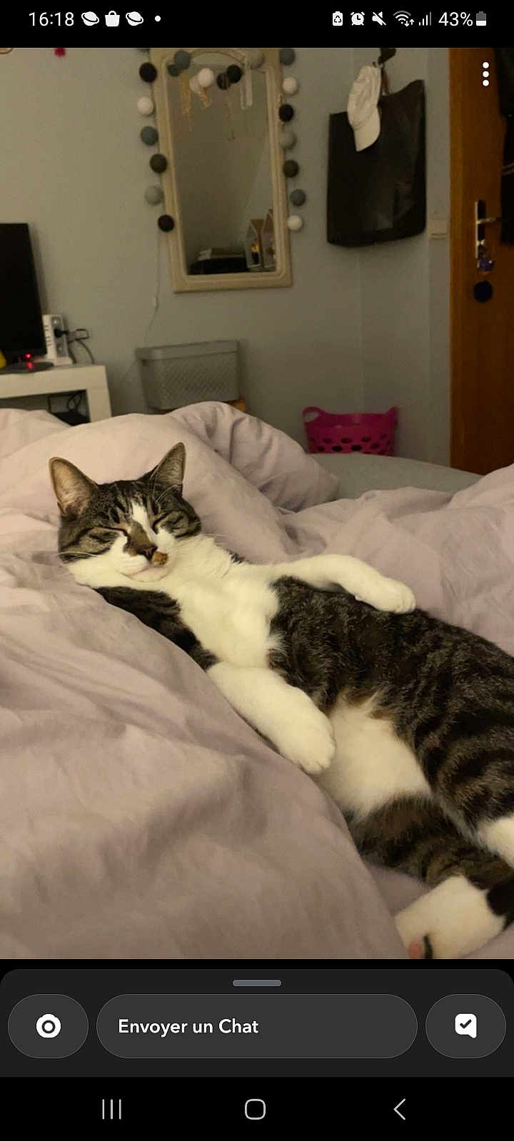 Câlin